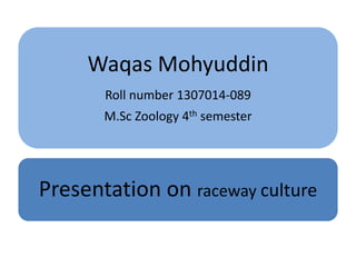 Waqas Mohyuddin
Roll number 1307014-089
M.Sc Zoology 4th semester
Presentation on raceway culture
 