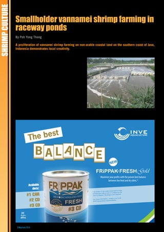 Raceway ponds in southern Java in Indonesia | PDF