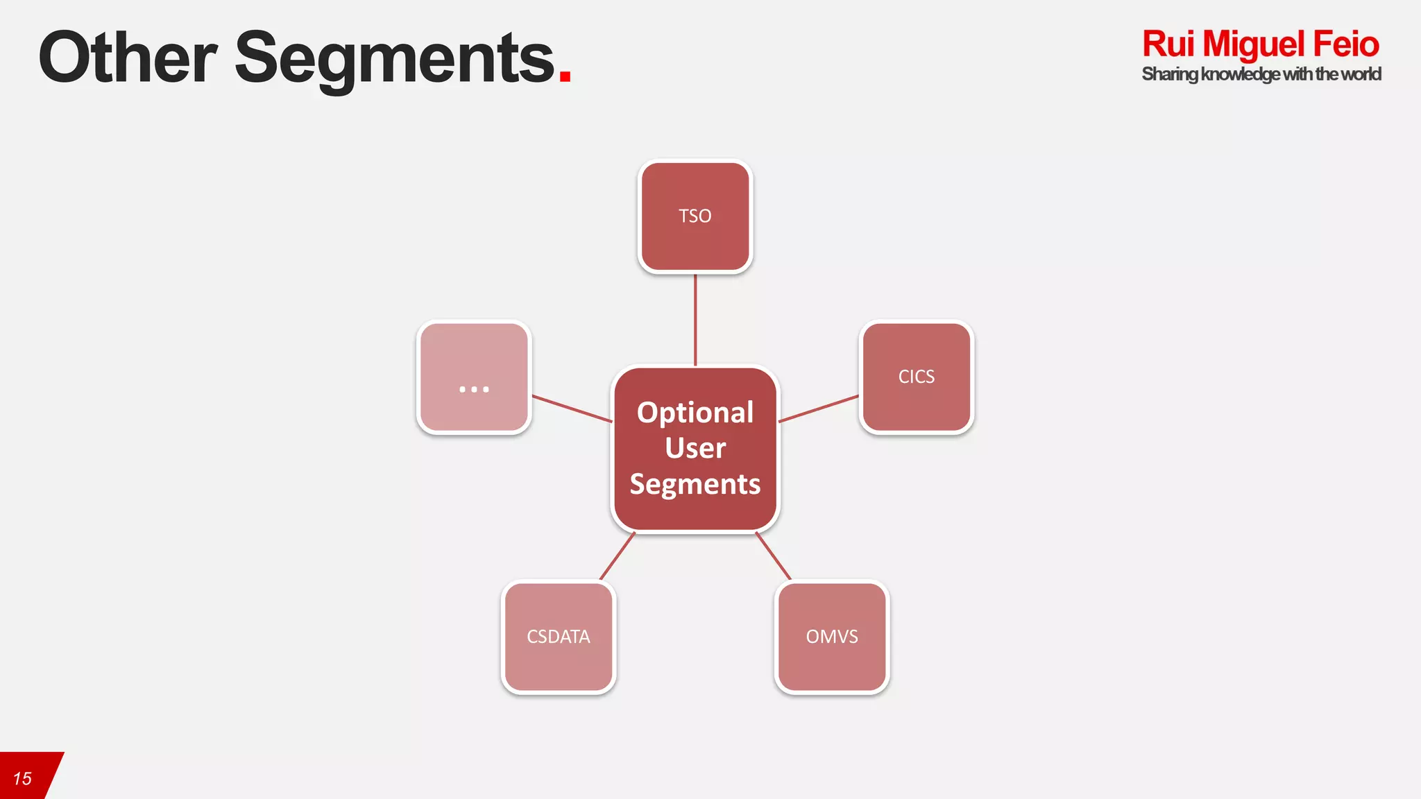 Other Segments.
15
Optional	
User	
Segments
TSO
CICS
OMVSCSDATA
…
 