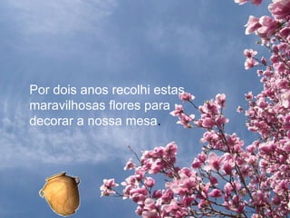 Por dois anos recolhi estas maravilhosas flores para decorar a nossa mesa .  