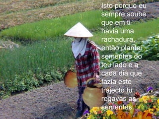 Isto porque eu sempre soube que em ti havia uma rachadura, então plantei sementes do teu lado e a cada dia que fazia este trajecto tu regavas as sementes. 