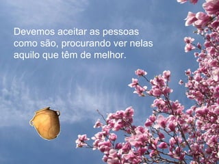 Devemos aceitar as pessoas como são, procurando ver nelas aquilo que têm de melhor. 