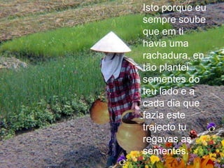 Isto porque eu
sempre soube
que em ti
havia uma
rachadura, en
tão plantei
sementes do
teu lado e a
cada dia que
fazia este
trajecto tu
regavas as
sementes.
 