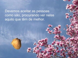Devemos aceitar as pessoas
como são, procurando ver nelas
aquilo que têm de melhor.
 