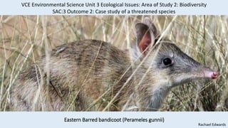 Eastern Barred bandicoot (Perameles gunnii)
Rachael Edwards
VCE Environmental Science Unit 3 Ecological Issues: Area of Study 2: Biodiversity
SAC:3 Outcome 2: Case study of a threatened species
 