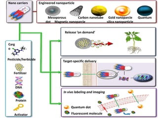 Mesoporous Carbon nanotube Gold nanoparcle Quantum
dot Magnetic nanoparcle silica nanoparticle
Pesticide/herbicide
Fertilizer
DNA
Protein
Activator
Release ‘on demand’
Target-specific delivery
In vivo labeling and imaging
Quantum dot
Fluorescent molecule
Nano carriers Engineered nanoparticle
Carg
o
 