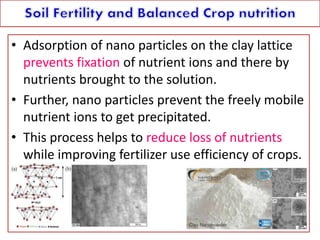 • Adsorption of nano particles on the clay lattice
prevents fixation of nutrient ions and there by
nutrients brought to the solution.
• Further, nano particles prevent the freely mobile
nutrient ions to get precipitated.
• This process helps to reduce loss of nutrients
while improving fertilizer use efficiency of crops.
 