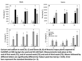 Cerium and sodium in roots (A, C) and leaves (B, D) of Brassica napus plants exposed to
CeO2NPs at 500 mg kg1 dry sand and 50 mM NaCl. Measurements took place at the
end of first week (T1), end of second week (T2) and end of third week (T3). Means followed by
different letters are significantly different by Tukey's post-hoc test (p < 0.05). Error
bars represent the standard deviation (n= 3).
 