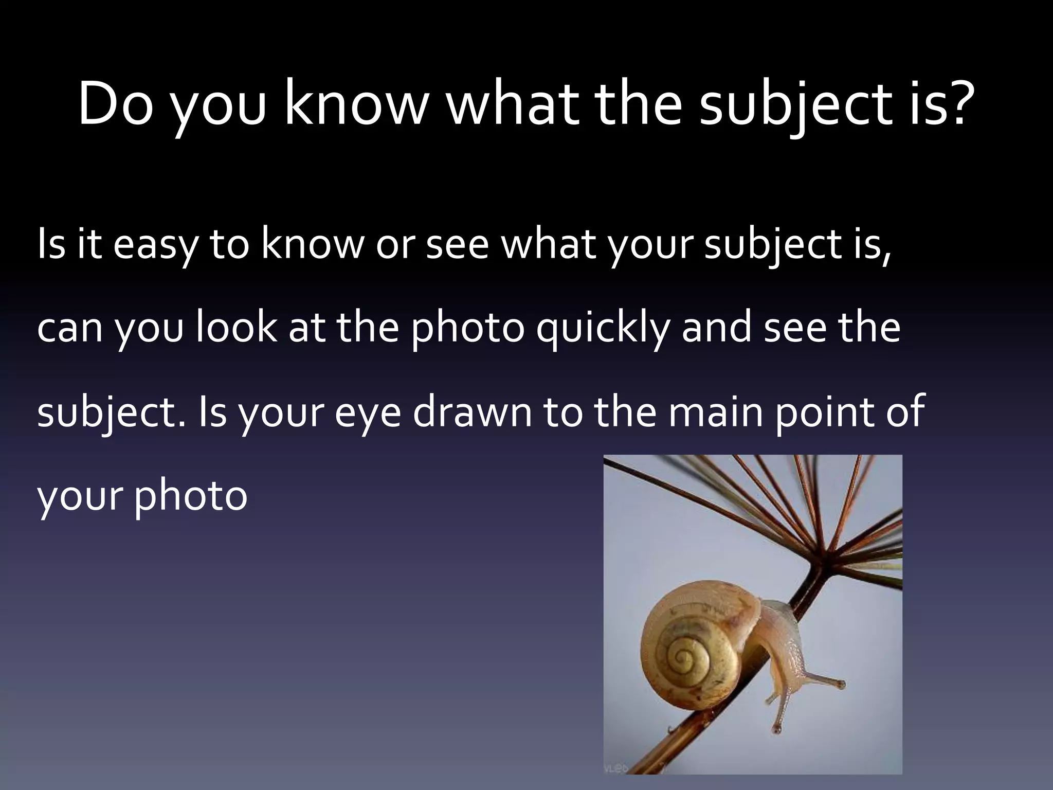Do	
  you	
  know	
  what	
  the	
  subject	
  is?	
  	
  
Is	
  it	
  easy	
  to	
  know	
  or	
  see	
  what	
  your	
  subject	
  is,	
  
can	
  you	
  look	
  at	
  the	
  photo	
  quickly	
  and	
  see	
  the	
  
subject.	
  Is	
  your	
  eye	
  drawn	
  to	
  the	
  main	
  point	
  of	
  
your	
  photo	
  

 