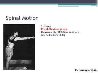 Spinal Motion
Cavanaugh, 1999
Averages:
Trunk flexion: 51 deg
Thoracolumber Rotation: 11-12 deg
Lateral Flexion: 13 deg
 