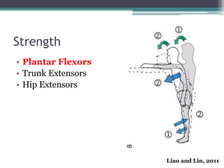 Strength
• Plantar Flexors
• Trunk Extensors
• Hip Extensors
Liao and Lin, 2011
 