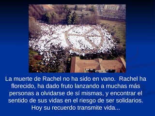 La muerte de Rachel no ha sido en vano.  Rachel ha florecido, ha dado fruto lanzando a muchas más personas a olvidarse de sí mismas, y encontrar el sentido de sus vidas en el riesgo de ser solidarios. Hoy su recuerdo transmite vida... 
