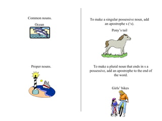 Common nouns. Ocean  Proper nouns. To make a singular possessive noun, add an apostrophe s (‘s). Pony’s tail To make a plural noun that ends in s a possessive, add an apostrophe to the end of the word. Girls’ bikes  
