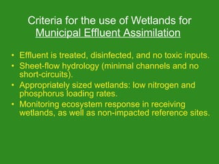 Criteria for the use of Wetlands for Municipal Effluent Assimilation Effluent is treated, disinfected, and no toxic inputs. Sheet-flow hydrology (minimal channels and no short-circuits). Appropriately sized wetlands: low nitrogen and phosphorus loading rates. Monitoring ecosystem response in receiving wetlands, as well as non-impacted reference sites.