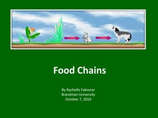 Food Chains By Rachelle Fabionar Brandman University October 7, 2010 