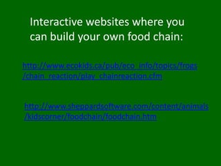 Less and less energy passes upCan you make a food chain?Secondary ConsumerPrimary ConsumerTertiary ConsumerProducerDecomposer