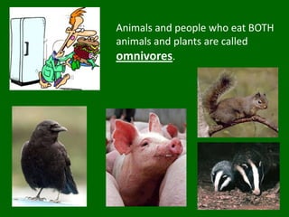 Animals and people who eat BOTH animals and plants are called omnivores.