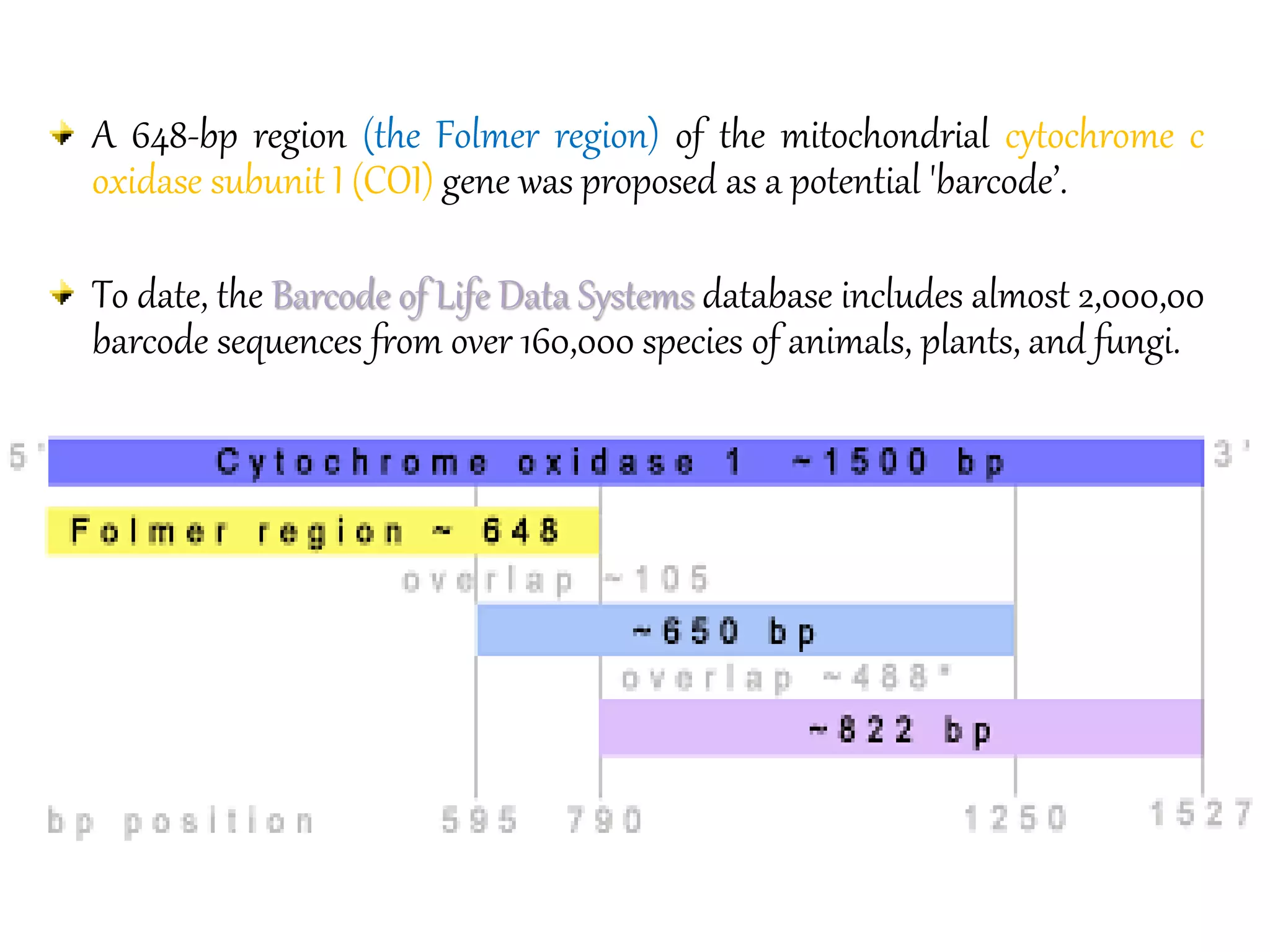 A 648-bp region (the Folmer region) of the mitochondrial cytochrome c
oxidase subunit I (COI) gene was proposed as a potential 'barcode’.
To date, the Barcode of Life Data Systems database includes almost 2,000,00
barcode sequences from over 160,000 species of animals, plants, and fungi.
 