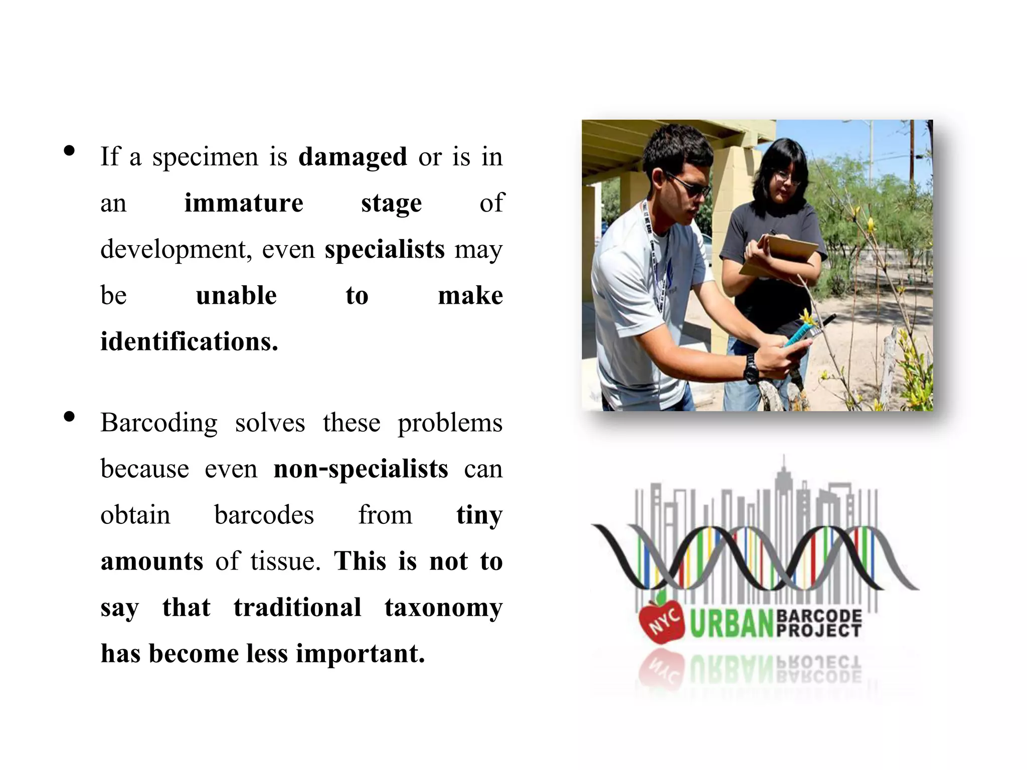 • If a specimen is damaged or is in
an immature stage of
development, even specialists may
be unable to make
identifications.
• Barcoding solves these problems
because even non-specialists can
obtain barcodes from tiny
amounts of tissue. This is not to
say that traditional taxonomy
has become less important.
 