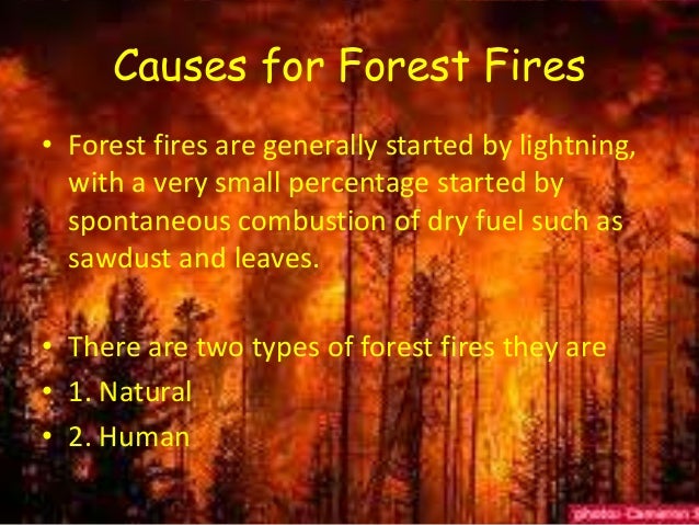 omer michigan forest fire omer michigan forest fire