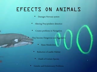 EFEECTS ON ANIMALS
• Damages Nervous system
• Altering Prey/predator detection
• Creates problems in Navigation
• They become Dangerous and Aggressive
• Raise Metabolism
• Reduction of usable Habitat
• Death of Certain Species
• Genetic and Evolutionary Problems
 