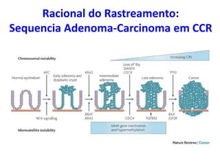 Racional do Rastreamento:
Sequencia Adenoma-Carcinoma em CCR

 