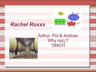 Rachel Roxxx Arthur, Pol & Andrew Why not¿? 1BACH Andrew, Pol & Arthur 1ºBat A WHY NOT MEN? 