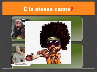 È la stessa canna ? 