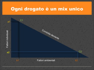 Ogni drogato è un mix unico Fattori ambientali Condotta deviante Fattori individuali a1 C1 a2 C2 b1 b2 