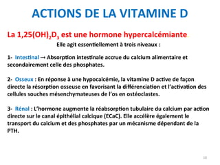 ACTIONS DE LA VITAMINE D
La 1,25(OH)2D3 est une hormone hypercalcémiante.
Elle agit essentiellement à trois niveaux :
1- Intestinal  Absorption intestinale accrue du calcium alimentaire et
secondairement celle des phosphates.
2- Osseux : En réponse à une hypocalcémie, la vitamine D active de façon
directe la résorption osseuse en favorisant la différenciation et l’activation des
cellules souches mésenchymateuses de l’os en ostéoclastes.
3- Rénal : L’hormone augmente la réabsorption tubulaire du calcium par action
directe sur le canal épithélial calcique (ECaC). Elle accélère également le
transport du calcium et des phosphates par un mécanisme dépendant de la
PTH.
10
 