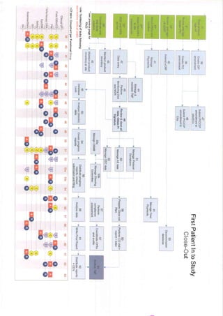 RACI Matrix for Clinical Operation | PDF
