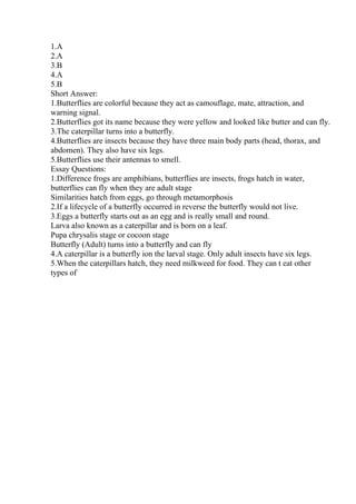 1.A
2.A
3.B
4.A
5.B
Short Answer:
1.Butterflies are colorful because they act as camouflage, mate, attraction, and
warning signal.
2.Butterflies got its name because they were yellow and looked like butter and can fly.
3.The caterpillar turns into a butterfly.
4.Butterflies are insects because they have three main body parts (head, thorax, and
abdomen). They also have six legs.
5.Butterflies use their antennas to smell.
Essay Questions:
1.Difference frogs are amphibians, butterflies are insects, frogs hatch in water,
butterflies can fly when they are adult stage
Similarities hatch from eggs, go through metamorphosis
2.If a lifecycle of a butterfly occurred in reverse the butterfly would not live.
3.Eggs a butterfly starts out as an egg and is really small and round.
Larva also known as a caterpillar and is born on a leaf.
Pupa chrysalis stage or cocoon stage
Butterfly (Adult) turns into a butterfly and can fly
4.A caterpillar is a butterfly ion the larval stage. Only adult insects have six legs.
5.When the caterpillars hatch, they need milkweed for food. They can t eat other
types of
 