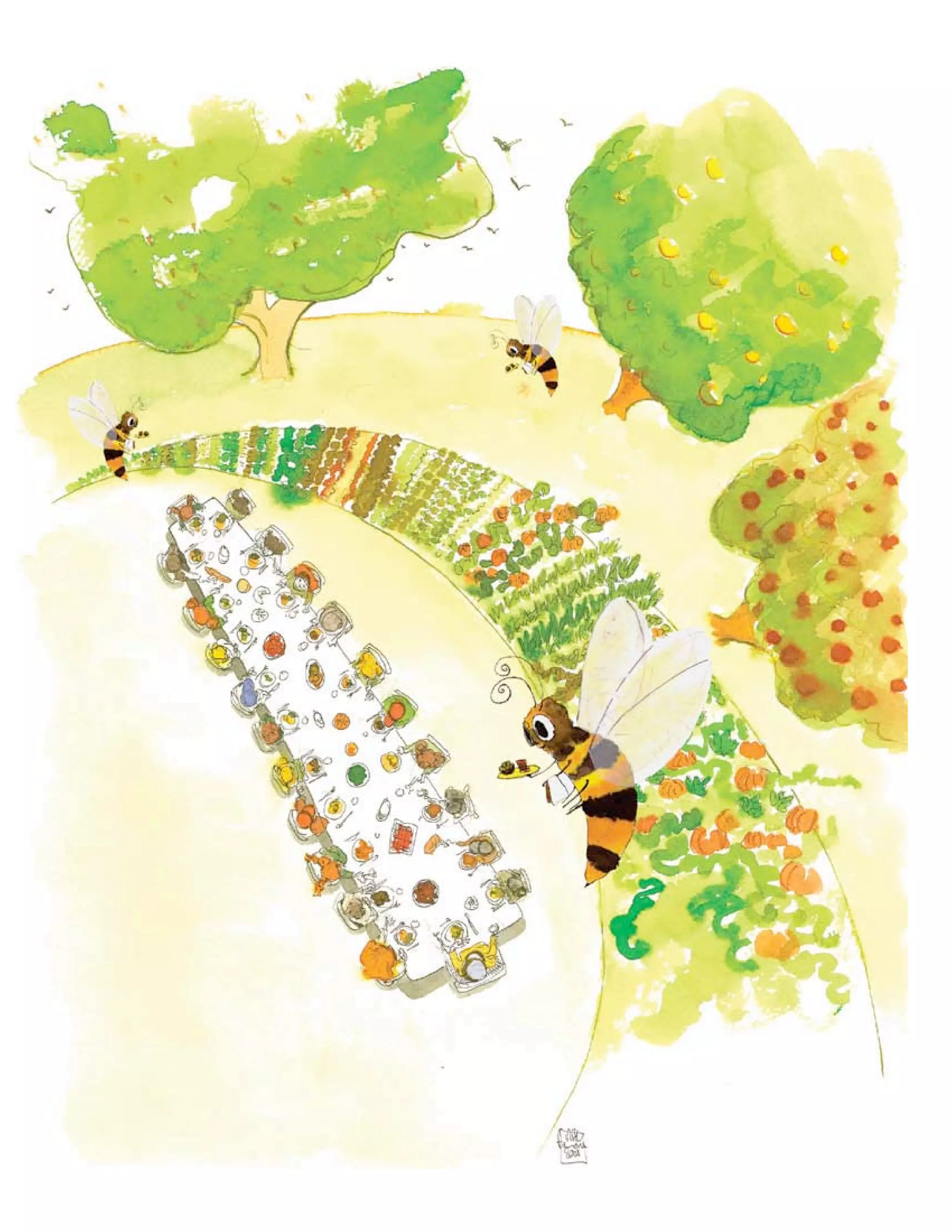 28   Roots Around the World Teaching Guide
 