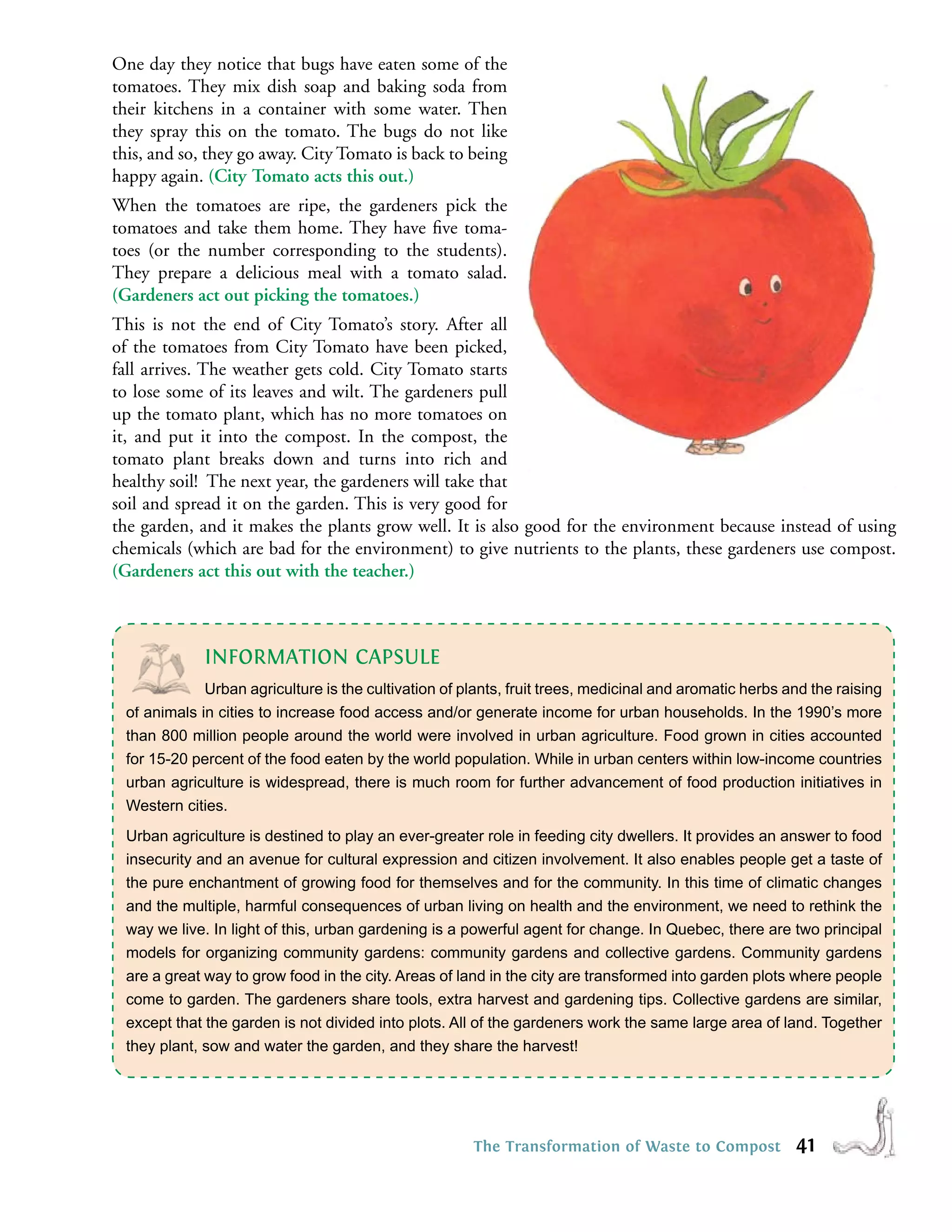 One day they notice that bugs have eaten some of the
tomatoes. They mix dish soap and baking soda from
their kitchens in a container with some water. Then
they spray this on the tomato. The bugs do not like
this, and so, they go away. City Tomato is back to being
happy again. (City Tomato acts this out.)
When the tomatoes are ripe, the gardeners pick the
tomatoes and take them home. They have ﬁve toma-
toes (or the number corresponding to the students).
They prepare a delicious meal with a tomato salad.
(Gardeners act out picking the tomatoes.)
This is not the end of City Tomato’s story. After all
of the tomatoes from City Tomato have been picked,
fall arrives. The weather gets cold. City Tomato starts
to lose some of its leaves and wilt. The gardeners pull
up the tomato plant, which has no more tomatoes on
it, and put it into the compost. In the compost, the
tomato plant breaks down and turns into rich and
healthy soil! The next year, the gardeners will take that
soil and spread it on the garden. This is very good for
the garden, and it makes the plants grow well. It is also good for the environment because instead of using
chemicals (which are bad for the environment) to give nutrients to the plants, these gardeners use compost.
(Gardeners act this out with the teacher.)



             INFORMATION CAPSULE
             Urban agriculture is the cultivation of plants, fruit trees, medicinal and aromatic herbs and the raising
 o animals inf cities to increase food iaccess and/orogenerate income foraurban co / se ro ob the n hrm a a9 e se
 of a       i cinn t i oni t f m ao cre a             cce s n e i de n fd u on households. In t 1990’s more
                                                        ga              l   s         h    ss e I
                                                                                            r            1 r smu       n
 than 800 million people around the world were involved in urban agriculture. Food grown in cities accounted
 for 15-20 percent of the food eaten by the world population. While in urban centers within low-income countries
 urban agriculture is widespread, there is much room for further advancement of food production initiatives in
 Western cities.
 Urban agriculture is destined to play an ever-greater role in feeding city dwellers. It provides an answer to food
 insecurity and an avenue for cultural expression and citizen involvement. It also enables people get a taste of
 the pure enchantment of growing food for themselves and for the community. In this time of climatic changes
 and the multiple, harmful consequences of urban living on health and the environment, we need to rethink the
 way we live. In light of this, urban gardening is a powerful agent for change. In Quebec, there are two principal
 models for organizing community gardens: community gardens and collective gardens. Community gardens
 are a great way to grow food in the city. Areas of land in the city are transformed into garden plots where people
 come to garden. The gardeners share tools, extra harvest and gardening tips. Collective gardens are similar,
 except that the garden is not divided into plots. All of the gardeners work the same large area of land. Together
 they plant, sow and water the garden, and they share the harvest!




                                                     The Transformation of Waste to Compost          41
 
