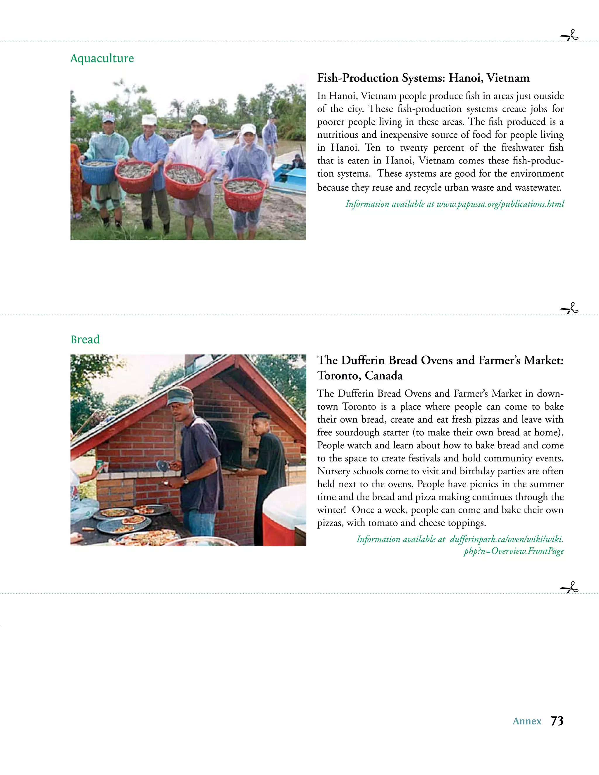 Aquaculture
              Fish-Production Systems: Hanoi, Vietnam
              In Hanoi, Vietnam people produce ﬁsh in areas just outside
              of the city. These ﬁsh-production systems create jobs for
              poorer people living in these areas. The ﬁsh produced is a
              nutritious and inexpensive source of food for people living
              in Hanoi. Ten to twenty percent of the freshwater ﬁsh
              that is eaten in Hanoi, Vietnam comes these ﬁsh-produc-
              tion systems. These systems are good for the environment
              because they reuse and recycle urban waste and wastewater.
                    Information available at www.papussa.org/publications.html




Bread
              The Dufferin Bread Ovens and Farmer’s Market:
              Toronto, Canada
              The Dufferin Bread Ovens and Farmer’s Market in down-
              town Toronto is a place where people can come to bake
              their own bread, create and eat fresh pizzas and leave with
              free sourdough starter (to make their own bread at home).
              People watch and learn about how to bake bread and come
              to the space to create festivals and hold community events.
              Nursery schools come to visit and birthday parties are often
              held next to the ovens. People have picnics in the summer
              time and the bread and pizza making continues through the
              winter! Once a week, people can come and bake their own
              pizzas, with tomato and cheese toppings.
                       Information available at dufferinpark.ca/oven/wiki/wiki.
                                                    php?n=Overview.FrontPage




                                                                 Annex     73
 