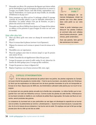 7�    Demandez aux élèves s’ils connaissent des légumes qui étaient utilisés
      par les Amérindiens et que les Européens ont découverts en venant ici                      qUe PUIs-Je
      (courges, eau d’érable, haricot, maïs (blé d’inde), topinambour, etc.)
      Sans les Amérindiens, on n’aurait pas de sirop d’érable, de citrouilles
                                                                                                   FAIRe ?
      d’Halloween et de pop corn !                                                 Dans les catalogues de se-
8�    Faites remarquer aux élèves qu’avec le métissage culturel, le paysage        mences biologiques, choisir les
      s’enrichit de nouvelles plantes et que les habitudes alimentaires se         plantes que vous allez planter
      diversifient. Les jardins urbains n’ont pas de frontière, on peut y          dans votre jardin ou sur votre
      planter des semences du monde entier.                                        balcon.
9�    Demandez aux élèves d’afficher leurs dessins ou l’images de leur plante
                                                                                   Visiter le jardin botanique pour
      au tableau et d’en présenter le pays d’origine (le situer sur une carte
      du monde).                                                                   découvrir les plantes d’ailleurs
                                                                                   et comment elles sont utilisées
                                                                                   dans d’autres cultures (ex. : jardin
Pour aller plus loin
1�    Dites aux élèves qu’ils vont semer un champ de tournesols dans le            chinois, jardin amérindien).
      placard;                                                                     Avec ses parents, faire germer
2�    Placez le terreau dans le plateau (environ 4 cm d’épaisseur);                des semences à la maison.
3�    Déposez les semences sur le terreau et ajoutez 6 mm de terreau sur la
      surface;
4�    Humidifiez avec un vaporisateur;
5�    Placez-les quelques jours dans la noirceur jusqu’à ce que les pousses
      aient atteint 10 cm;
6�    Vérifier l’humidité du sol régulièrement (deux fois par jour);
7�    Lorsque les pousses ont atteint la taille voulue (4 cm), placez-les à la
      lumière du soleil quelque jours, le temps qu’elles verdissent;
8�    Coupez les pousses au ciseau et dégustez-les!
9�    Répétez l’expérience avec d’autres semences (blé, maïs, orge).



                cAPsULe d’InFoRMAtIon
                Si l’on retrouve des semences de partout dans nos jardins, les plantes originaires du Canada
     ont aussi charmé les peuples du monde entier. C’est le cas du tournesol, une plante native de l’Amérique
     du Nord que les explorateurs ont découvert lors de leurs grandes traversées et qu’ils ont transportée en
     Europe et en Asie. Depuis plus de 3000 ans, les Amérindiens cultivaient cette plante pour se nourrir et se
     soigner.
     Le tournesol est une grande plante annuelle de la famille des composées. La même famille que la mar-
     guerite! Son nom latin est Helianthus annuus. Comme toutes les plantes de cette famille, l’inﬂorescence
     du tournesol consiste en réalité en une multitude de petites ﬂeurs regroupées. De toutes ces ﬂeurs en son
     centre, seront produites des graines.
     La croissance du tournesol est un peu particulière car ses tiges ont développé la capacité de se tourner
     vers la lumière. Ce phénomène se nomme « phototropisme ». Quand le tournesol est jeune, il pousse très
     vite. Au fur et à mesure de sa croissance, il se tourne vers le soleil. On explique ceci par le fait que sa tige
     pousse plus vite du côté qui est dos au soleil.



34    Guide pédagogique Des racines autour du monde
 