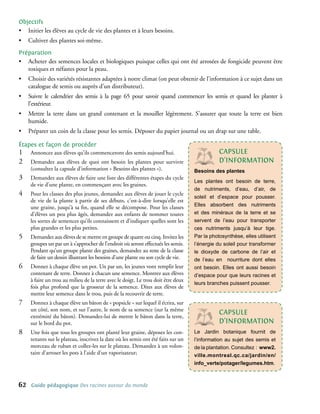 objectifs
• Initier les élèves au cycle de vie des plantes et à leurs besoins.
•    Cultiver des plantes soi-même.
Préparation
• Acheter des semences locales et biologiques puisque celles qui ont été arrosées de fongicide peuvent être
   toxiques et néfastes pour la peau.
•    Choisir des variétés résistantes adaptées à notre climat (on peut obtenir de l’information à ce sujet dans un
     catalogue de semis ou auprès d’un distributeur).
•    Suivre le calendrier des semis à la page 65 pour savoir quand commencer les semis et quand les planter à
     l’extérieur.
•    Mettre la terre dans un grand contenant et la mouiller légèrement. S’assurer que toute la terre est bien
     humide.
•    Préparer un coin de la classe pour les semis. Déposer du papier journal ou un drap sur une table.

étapes et façon de procéder
1�    Annoncez aux élèves qu’ils commenceront des semis aujourd’hui.                           cAPsULe
2�    Demandez aux élèves de quoi ont besoin les plantes pour survivre                         d’InFoRMAtIon
      (consultez la capsule d’information « Besoins des plantes »).                 Besoins des plantes
3�    Demandez aux élèves de faire une liste des différentes étapes du cycle
                                                                                    Les plantes ont besoin de terre,
      de vie d’une plante, en commençant avec les graines.
                                                                                    de nutriments, d’eau, d’air, de
4�    Pour les classes des plus jeunes, demandez aux élèves de jouer le cycle
                                                                                    soleil et d’espace pour pousser.
      de vie de la plante à partir de ses débuts, c’est-à-dire lorsqu’elle est
                                                                                    Elles absorbent des nutriments
      une graine, jusqu’à sa fin, quand elle se décompose. Pour les classes
      d’élèves un peu plus âgés, demandez aux enfants de nommer toutes              et des minéraux de la terre et se
      les sortes de semences qu’ils connaissent et d’indiquer quelles sont les      servent de l’eau pour transporter
      plus grandes et les plus petites.                                             ces nutriments jusqu’à leur tige.
5�    Demandez aux élèves de se mettre en groupe de quatre ou cinq. Invitez les     Par la photosynthèse, elles utilisent
      groupes un par un à s’approcher de l’endroit où seront effectués les semis.   l’énergie du soleil pour transformer
      Pendant qu’un groupe plante des graines, demandez au reste de la classe       le dioxyde de carbone de l’air et
      de faire un dessin illustrant les besoins d’une plante ou son cycle de vie.   de l’eau en nourriture dont elles
6�    Donnez à chaque élève un pot. Un par un, les jeunes vont remplir leur         ont besoin. Elles ont aussi besoin
      contenant de terre. Donnez à chacun une semence. Montrez aux élèves           d’espace pour que leurs racines et
      à faire un trou au milieu de la terre avec le doigt. Le trou doit être deux
                                                                                    leurs branches puissent pousser.
      fois plus profond que la grosseur de la semence. Dites aux élèves de
      mettre leur semence dans le trou, puis de la recouvrir de terre.
7�    Donnez à chaque élève un bâton de « popsicle » sur lequel il écrira, sur
      un côté, son nom, et sur l’autre, le nom de sa semence (sur la même
      extrémité du bâton). Demandez-lui de mettre le bâton dans la terre,
                                                                                               cAPsULe
      sur le bord du pot.                                                                      d’InFoRMAtIon
8�    Une fois que tous les groupes ont planté leur graine, déposez les con-        Le Jardin botanique fournit de
      tenants sur le plateau, inscrivez la date où les semis ont été faits sur un   l’information au sujet des semis et
      morceau de ruban et collez-les sur le plateau. Demandez à un volon-           de la plantation. Consultez : www2.
      taire d’arroser les pots à l’aide d’un vaporisateur;                          ville.montreal.qc.ca/jardin/en/
                                                                                    info_verte/potager/legumes.htm.



62    Guide pédagogique Des racines autour du monde
 