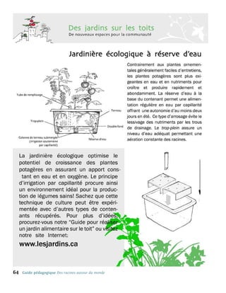 64   Guide pédagogique Des racines autour du monde
 