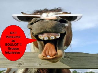 GO BACK TO WORK....!!!! You lazy b*****d!!!! Eh ! Retourne au BOULOT !! Grosse feignasse ! 