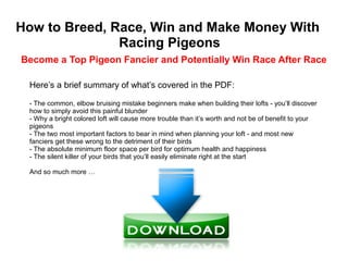 How to Breed, Race, Win and Make Money With
               Racing Pigeons
Become a Top Pigeon Fancier and Potentially Win Race After Race

 Here’s a brief summary of what’s covered in the PDF:

 - The common, elbow bruising mistake beginners make when building their lofts - you’ll discover
 how to simply avoid this painful blunder
 - Why a bright colored loft will cause more trouble than it’s worth and not be of benefit to your
 pigeons
 - The two most important factors to bear in mind when planning your loft - and most new
 fanciers get these wrong to the detriment of their birds
 - The absolute minimum floor space per bird for optimum health and happiness
 - The silent killer of your birds that you’ll easily eliminate right at the start

 And so much more …
 