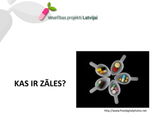 KAS IR ZĀLES?

                http://www.freedigitalphotos.net
 