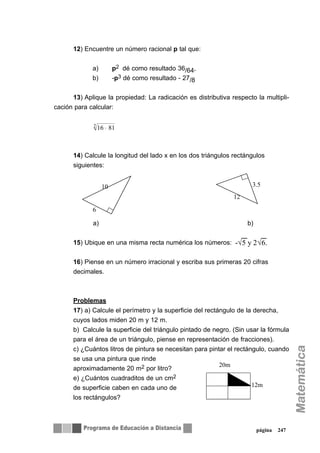 12) Encuentre un número racional p tal que:
a) p2 dé como resultado 36/64,
b) -p3 dé como resultado - 27/8
13) Aplique la propiedad: La radicación es distributiva respecto la multipli-
cación para calcular:
14) Calcule la longitud del lado x en los dos triángulos rectángulos
siguientes:
a) b)
15) Ubique en una misma recta numérica los números:
16) Piense en un número irracional y escriba sus primeras 20 cifras
decimales.
Problemas
17) a) Calcule el perímetro y la superficie del rectángulo de la derecha,
cuyos lados miden 20 m y 12 m.
b) Calcule la superficie del triángulo pintado de negro. (Sin usar la fórmula
para el área de un triángulo, piense en representación de fracciones).
c) ¿Cuántos litros de pintura se necesitan para pintar el rectángulo, cuando
se usa una pintura que rinde
aproximadamente 20 m2 por litro?
e) ¿Cuántos cuadraditos de un cm2
de superficie caben en cada uno de
los rectángulos?
página 247
81162
⋅
3.5
12
6
10
-√5 y 2√6.
12m
20m
 