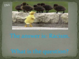 The answer is: Racism.
What is the question?
 