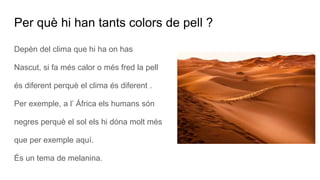 Per què hi han tants colors de pell ?
Depèn del clima que hi ha on has
Nascut, si fa més calor o més fred la pell
és diferent perquè el clima és diferent .
Per exemple, a l’ África els humans són
negres perquè el sol els hi dóna molt més
que per exemple aquí.
És un tema de melanina.
 