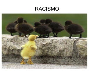 RACISMO 