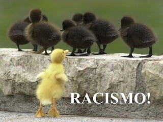 RACISMO!