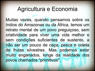 Agricultura e Economia
Muitas vezes, quando pensamos sobre os
índios do Amazonas ou da África, temos um
retrato mental de um povo preguiçoso, sem
criatividade para viver uma vida melhor e
sem condições suficientes de sustento, a
não ser um pouco de caça, pesca e coleta
de frutas silvestres. Mas podemos estar
muito enganados, longe da realidade dos
povos chamados "primitivos".
 