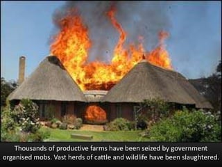 One of the most productive
agricultural economies in Africa
has been systematically
destroyed because
of fanatical racial ...