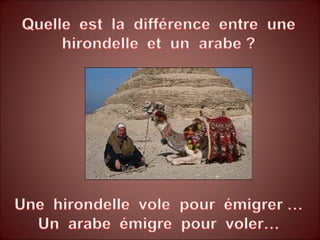 Raciste, bête et méchant