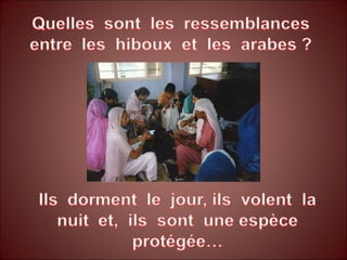 Raciste, bête et méchant